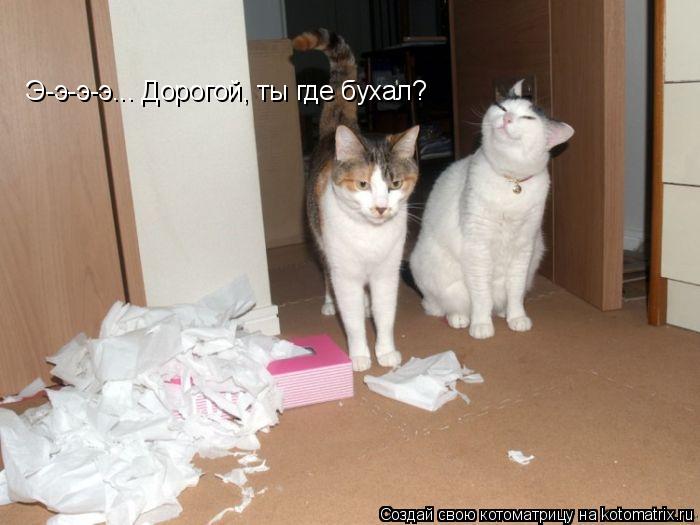 Э-э-э-э... Дорогой, ты где бухал?... Котоматрица: Э-э-э-э... Дорогой, ты где бухал?