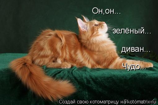 Он,он... зелёный... диван... Чудо...... Котоматрица: Он,он... зелёный... диван... Чудо...