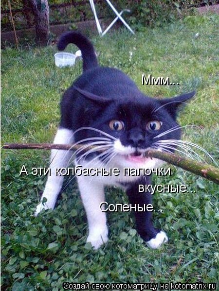 Ммм... А эти колбасные палочки вкусные... Солёные...... Котоматрица: Ммм... А эти колбасные палочки вкусные... Солёные...