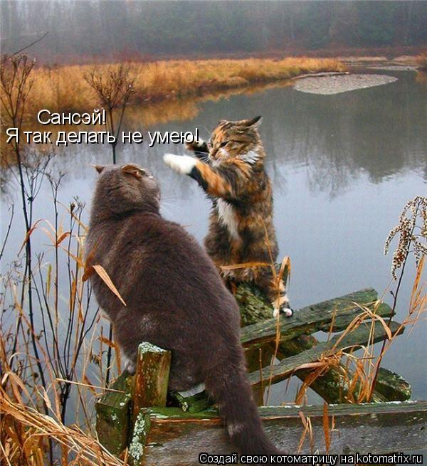 Сансэй! Я так делать не умею!... Котоматрица: Сансэй! Я так делать не умею!