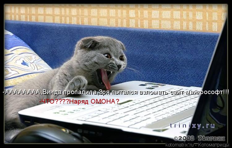 -АААААААА,Винда пропалила,Зря пытался взломать сайт майкрософт!!! -ЧТО????Наряд ОМОНА?... Котоматрица: -АААААААА,Винда пропалила,Зря пытался взломать сайт майкрософт!!! -ЧТО????Наряд ОМОНА?