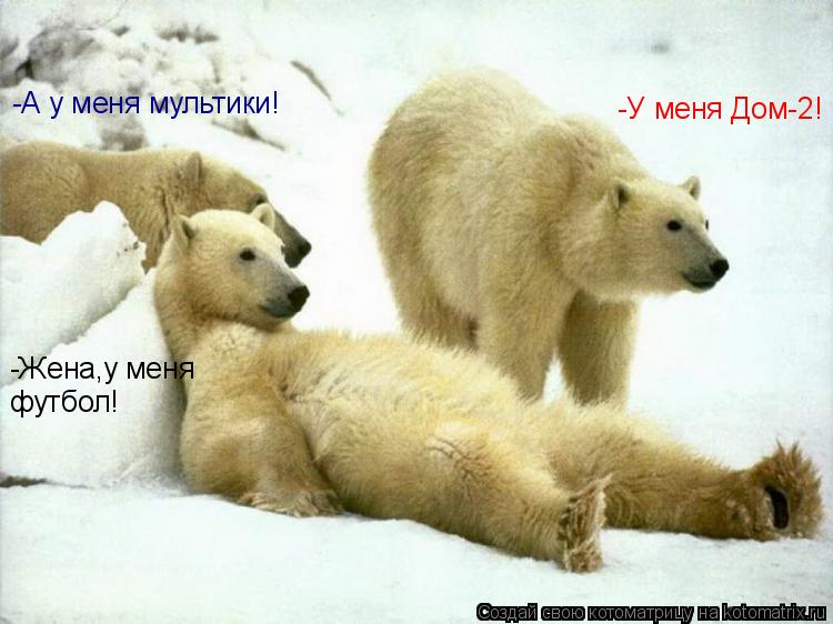 -Жена,у меня футбол! -У меня Дом-2! -А у меня мультики!... Котоматрица: -Жена,у меня футбол! -У меня Дом-2! -А у меня мультики!