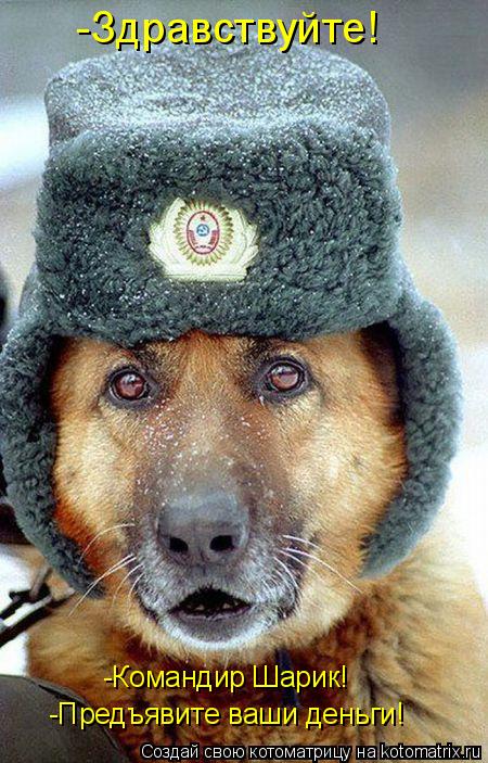 -Командир Шарик! -Предъявите ваши деньги! -Здравствуйте!... Котоматрица: -Командир Шарик! -Предъявите ваши деньги! -Здравствуйте!