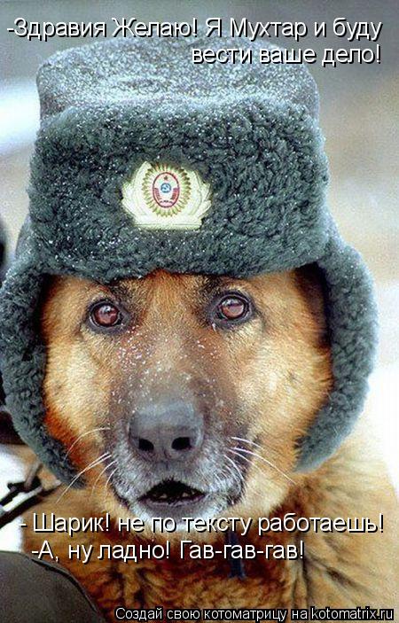 -Здравия Желаю! Я Мухтар и буду вести ваше дело! -А, ну ладно! Гав-гав-гав! - Шарик! не по тексту раб... Котоматрица: -Здравия Желаю! Я Мухтар и буду вести ваше дело! -А, ну ладно! Гав-гав-гав! - Шарик! не по тексту работаешь!