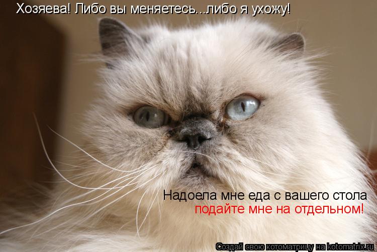 Хозяева! Либо вы меняетесь...либо я ухожу! Надоела мне еда с вашего стола подайте мне на отдельном!... Котоматрица: Хозяева! Либо вы меняетесь...либо я ухожу! Надоела мне еда с вашего стола подайте мне на отдельном!