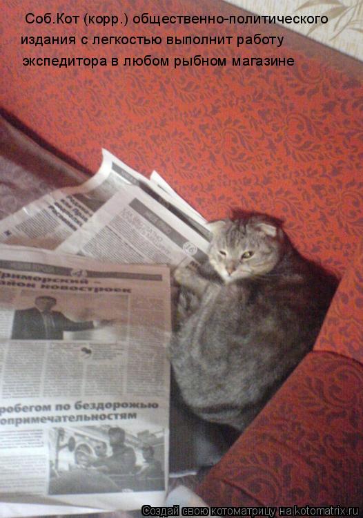 Котоматрица: Соб.Кот (корр.) общественно-политического издания с легкостью выполнит работу экспедитора в любом рыбном магазине