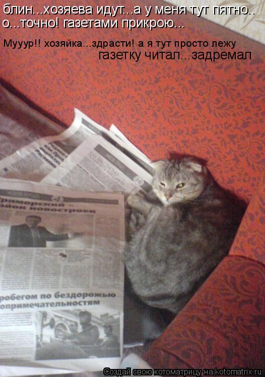 Котоматрица: блин...хозяева идут...а у меня тут пятно.. о...точно! газетами прикрою... Мууур!! хозяйка...здрасти! а я тут просто лежу газетку читал...задремал