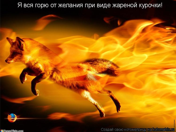 Котоматрица: Я вся горю от желания при виде жареной курочки!
