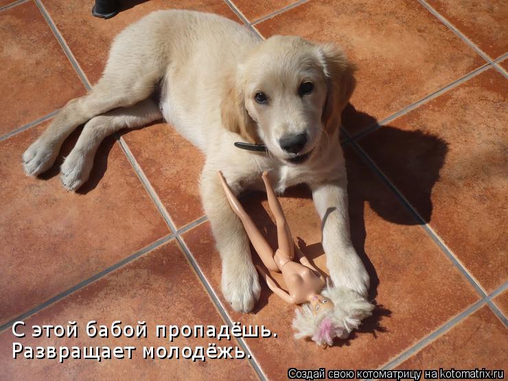 Котоматрица: С этой бабой пропадёшь. Развращает молодёжь.