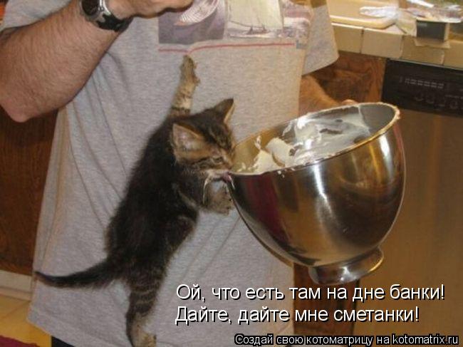 Котоматрица: Ой, что есть там на дне банки! Дайте, дайте мне сметанки!