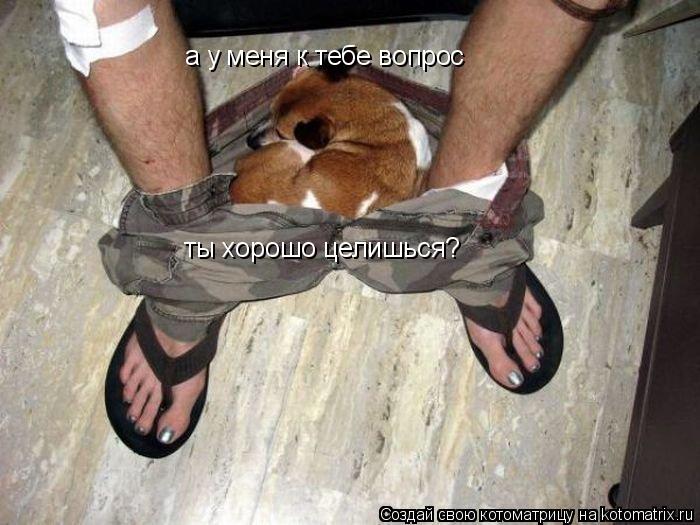 Котоматрица: а у меня к тебе вопрос  ты хорошо целишься?