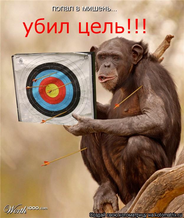 попал в мишень... убил цель!!!... Котоматрица: попал в мишень... убил цель!!!