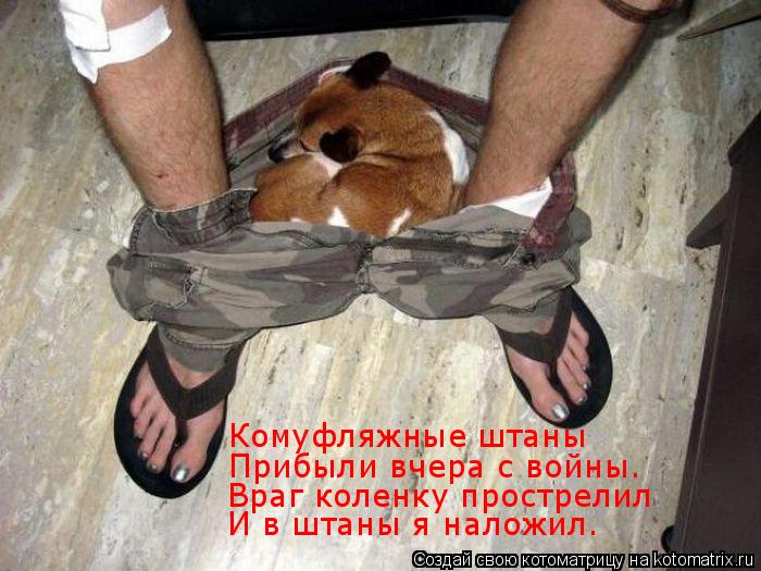 Комуфляжные штаны Прибыли вчера с войны. Враг коленку прострелил И в штаны я наложил.... Котоматрица: Комуфляжные штаны Прибыли вчера с войны. Враг коленку прострелил И в штаны я наложил.