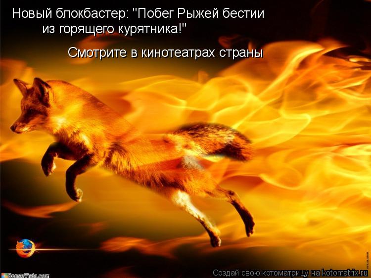 Новый блокбастер: "Побег Рыжей бестии из горящего курятника!" Смотрите в кинотеатрах страны... Котоматрица: Новый блокбастер: "Побег Рыжей бестии из горящего курятника!" Смотрите в кинотеатрах страны