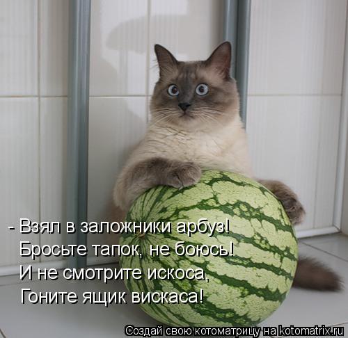 - Взял в заложники арбуз! Бросьте тапок, не боюсь! И не смотрите искоса, Гоните ящик вискаса!... Котоматрица: - Взял в заложники арбуз! Бросьте тапок, не боюсь! И не смотрите искоса, Гоните ящик вискаса!