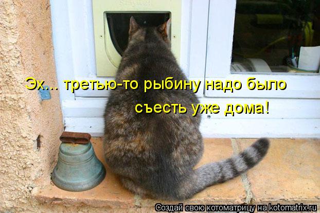 Эх... третью-то рыбину надо было съесть уже дома!... Котоматрица: Эх... третью-то рыбину надо было съесть уже дома!