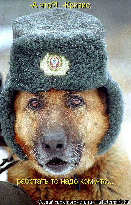 Котоматрица: -А что?!  -Кризис, работать то надо кому-то...