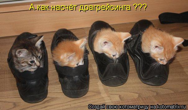 Котоматрица: А как насчёт драгрейсинга ???