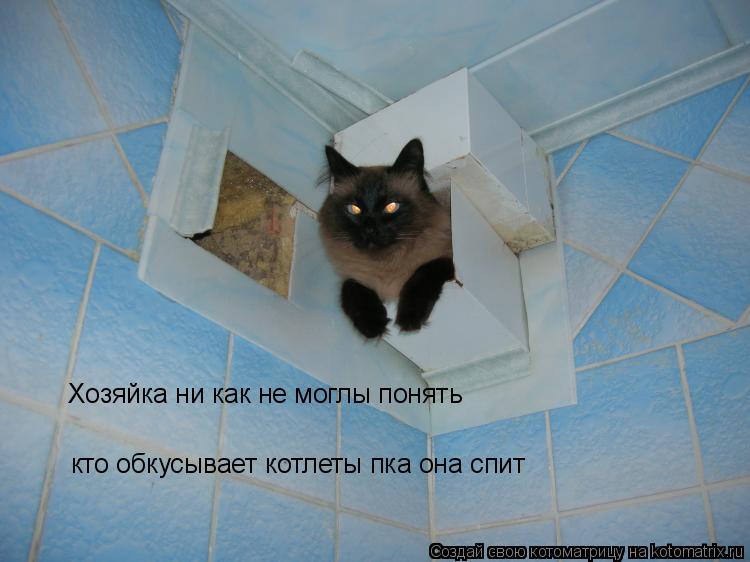 Котоматрица: Хозяйка ни как не моглы понять кто обкусывает котлеты пка она спит