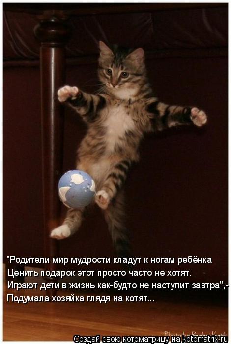 Играют дети в жизнь как-будто не наступит завтра",- Подумала хозяйка глядя на котят... "Родители мир ... Котоматрица: Играют дети в жизнь как-будто не наступит завтра",- Подумала хозяйка глядя на котят... "Родители мир мудрости кладут к ногам ребёнка Ценить по