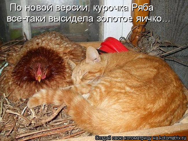 По новой версии, курочка Ряба все-таки высидела золотое яичко...... Котоматрица: По новой версии, курочка Ряба все-таки высидела золотое яичко...