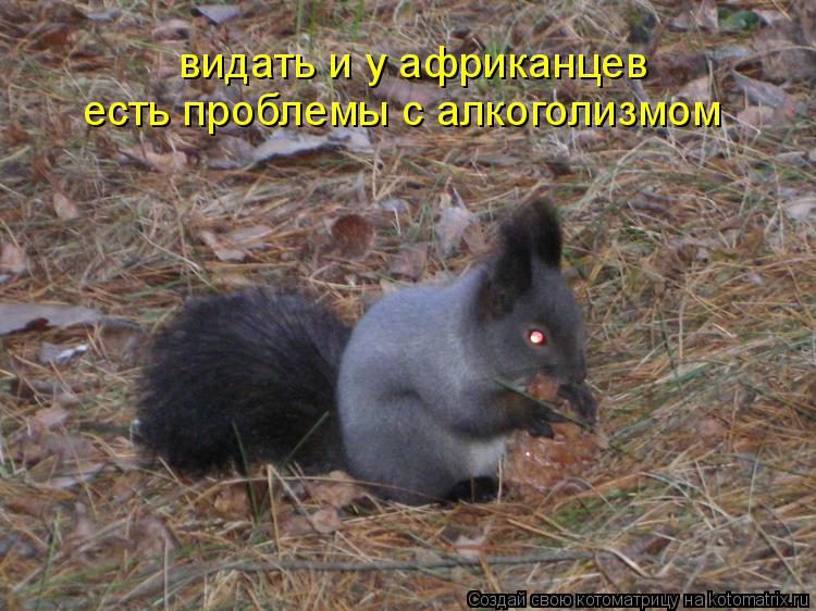 есть проблемы с алкоголизмом видать и у африканцев... Котоматрица: есть проблемы с алкоголизмом видать и у африканцев