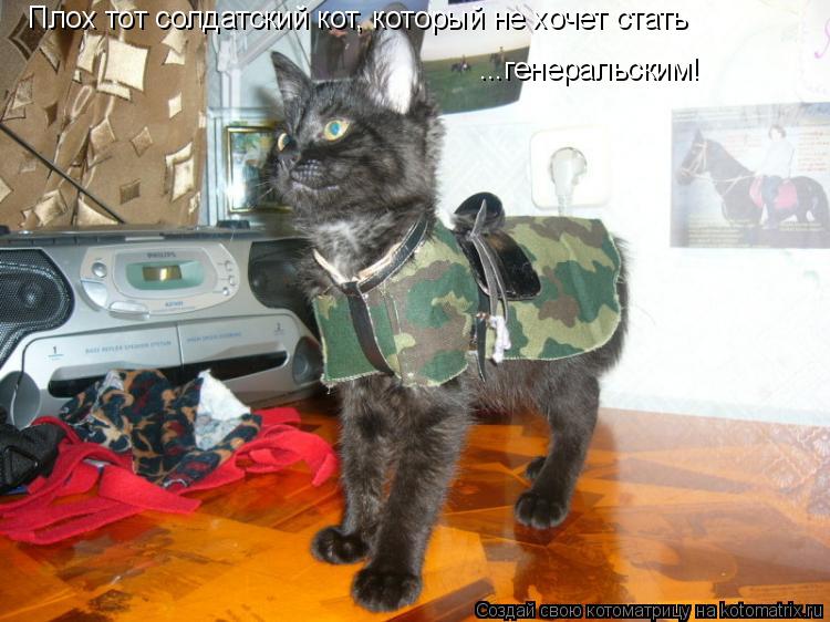 Котоматрица: Плох тот солдатский кот, который не хочет стать  ...генеральским!