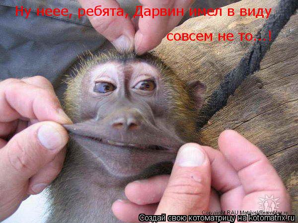 Ну неее, ребята, Дарвин имел в виду совсем не то...!... Котоматрица: Ну неее, ребята, Дарвин имел в виду совсем не то...!