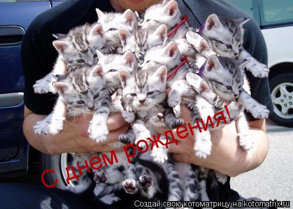 С днем рождения!... Котоматрица: С днем рождения!