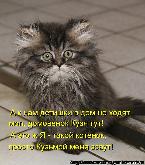 А к нам детишки в дом не ходят мол, домовенок Кузя тут! А это ж Я - такой котенок, просто Кузьмой мен... Котоматрица: А к нам детишки в дом не ходят мол, домовенок Кузя тут! А это ж Я - такой котенок, просто Кузьмой меня зовут!