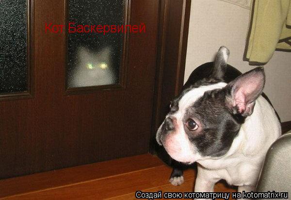 Кот Баскервилей... Котоматрица: Кот Баскервилей
