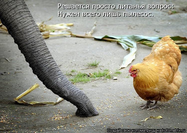 Решается просто питанья вопрос: Нужен всего лишь пылесос.... Котоматрица: Решается просто питанья вопрос: Нужен всего лишь пылесос.