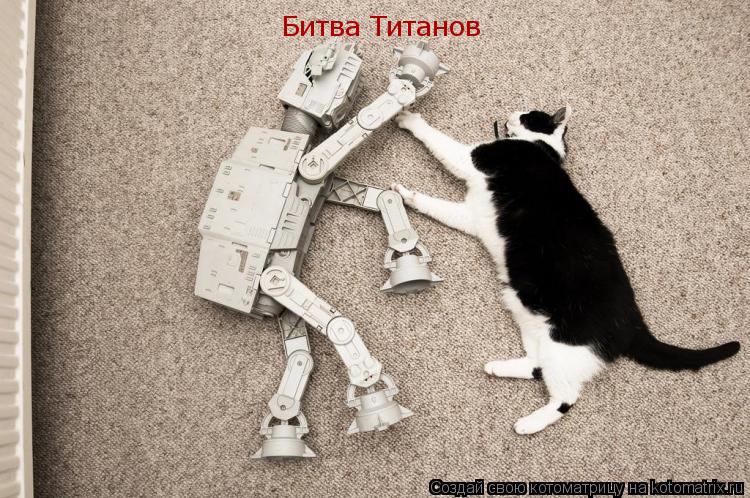 Битва Титанов... Котоматрица: Битва Титанов