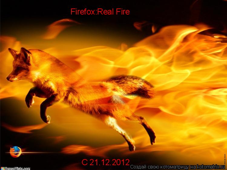 Firefox:Real Fire С 21.12.2012... Котоматрица: Firefox:Real Fire С 21.12.2012