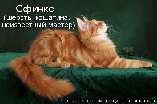Сфинкс (шерсть, кошатина. неизвестный мастер)... Котоматрица: Сфинкс (шерсть, кошатина. неизвестный мастер)