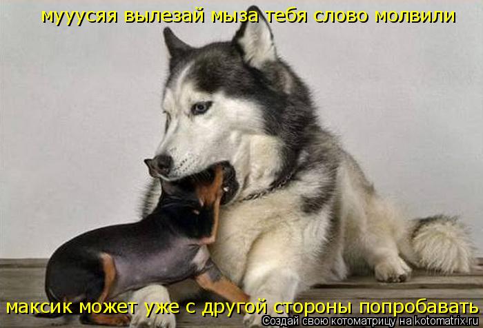 мууусяя вылезай мыза тебя слово молвили максик может уже с другой стороны попробавать... Котоматрица: мууусяя вылезай мыза тебя слово молвили максик может уже с другой стороны попробавать