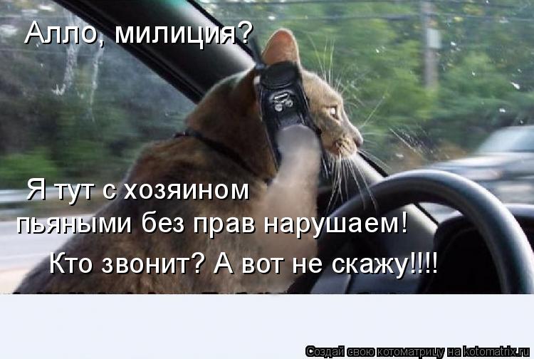Алло, милиция? пьяными без прав нарушаем! Я тут с хозяином Кто звонит? А вот не скажу!!!!... Котоматрица: Алло, милиция? пьяными без прав нарушаем! Я тут с хозяином Кто звонит? А вот не скажу!!!!