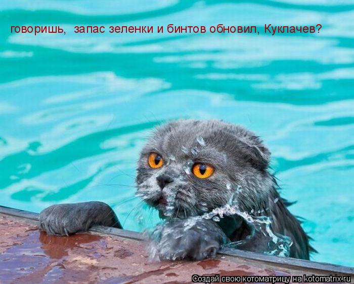 говоришь, запас зеленки и бинтов обновил, Куклачев?... Котоматрица: говоришь, запас зеленки и бинтов обновил, Куклачев?