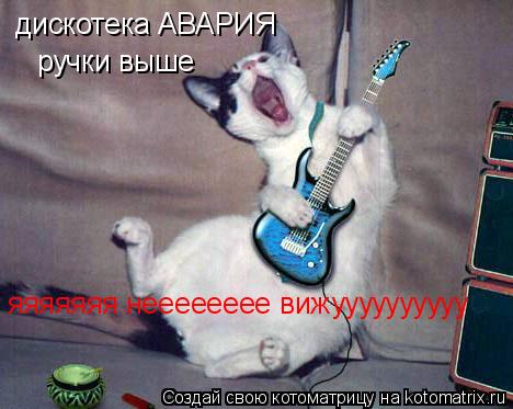 дискотека АВАРИЯ ручки выше яяяяяяя нееееееее вижуууууууууу... Котоматрица: дискотека АВАРИЯ ручки выше яяяяяяя нееееееее вижуууууууууу