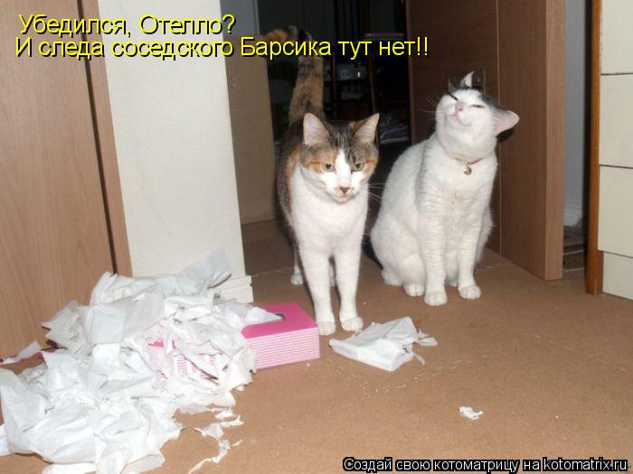 Убедился, Отелло? И следа соседского Барсика тут нет!!... Котоматрица: Убедился, Отелло? И следа соседского Барсика тут нет!!