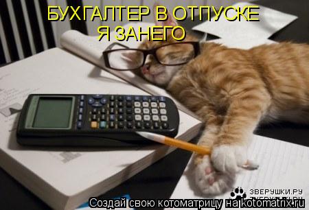БУХГАЛТЕР В ОТПУСКЕ Я ЗАНЕГО... Котоматрица: БУХГАЛТЕР В ОТПУСКЕ Я ЗАНЕГО