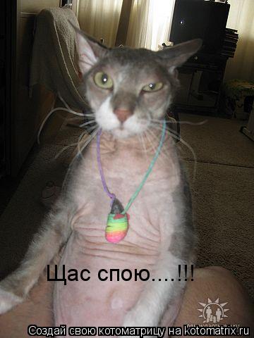 Щас спою....!!!... Котоматрица: Щас спою....!!!