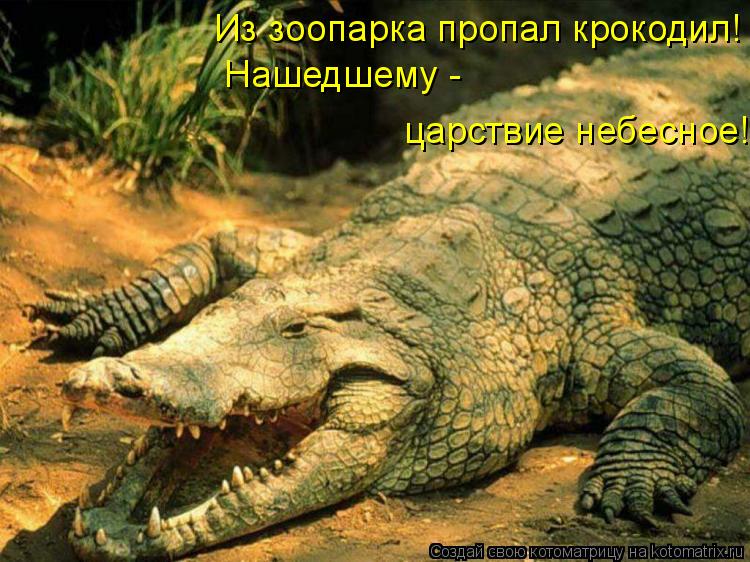 Из зоопарка пропал крокодил! Нашедшему - царствие небесное!... Котоматрица: Из зоопарка пропал крокодил! Нашедшему - царствие небесное!