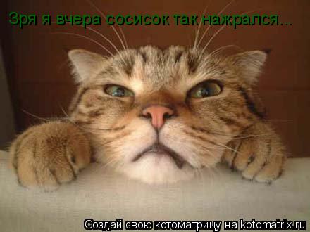 Зря я вчера сосисок так нажрался...... Котоматрица: Зря я вчера сосисок так нажрался...