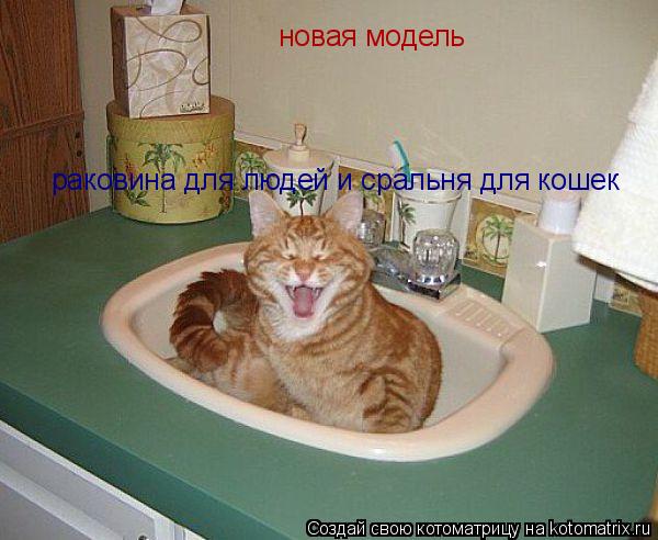 новая модель раковина для людей и сральня для кошек... Котоматрица: новая модель раковина для людей и сральня для кошек