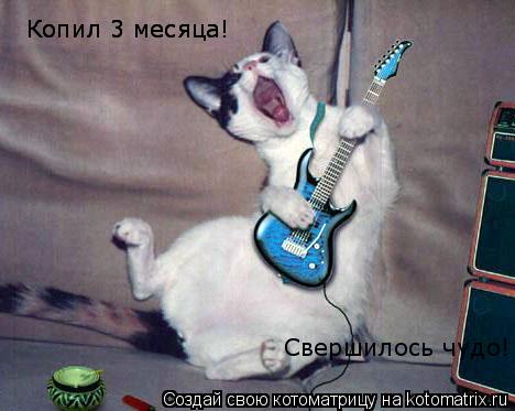 Копил 3 месяца! Копил 3 месяца! Свершилось чудо!... Котоматрица: Копил 3 месяца! Копил 3 месяца! Свершилось чудо!