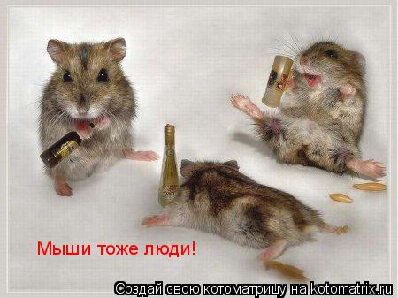 Мыши тоже люди!... Котоматрица: Мыши тоже люди!