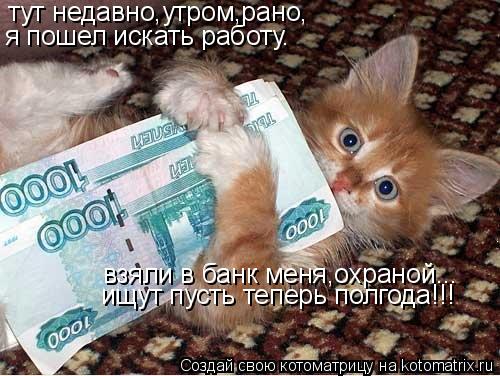 тут недавно,утром,рано, я пошел искать работу. взяли в банк меня,охраной... ищут пусть теперь полгода... Котоматрица: тут недавно,утром,рано, я пошел искать работу. взяли в банк меня,охраной... ищут пусть теперь полгода!!!