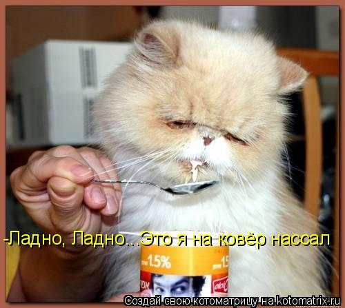 -Ладно, Ладно...Это я на ковёр нассал... Котоматрица: -Ладно, Ладно...Это я на ковёр нассал