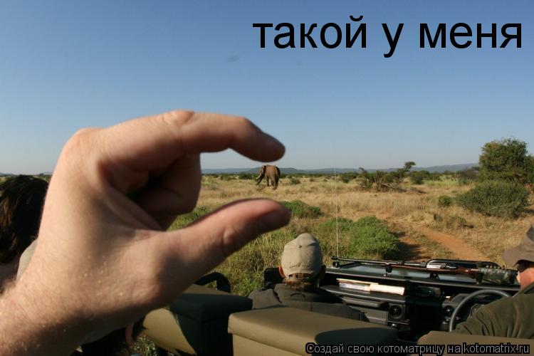 такой у меня... Котоматрица: такой у меня